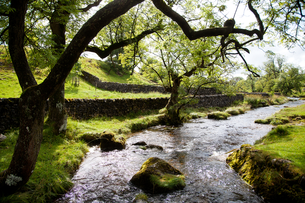 Yorkshire Dales National Park (Official GANP Park Page)